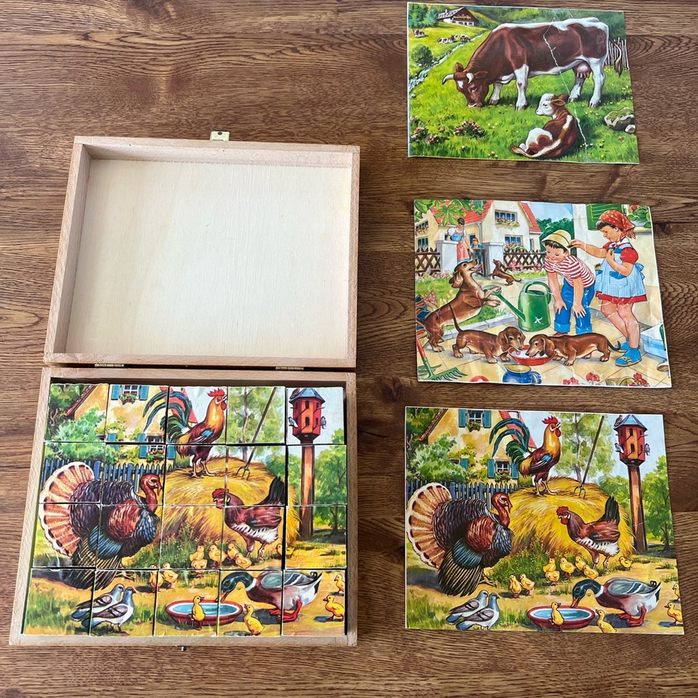 Vintage Hermann Eichhorn Picture Cubes of Wood Animal Puzzle Blocks From Germany